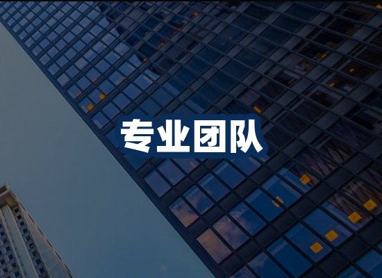 专业团队